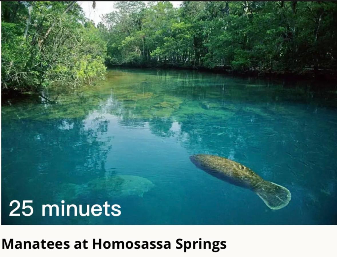 Villa Bonne Nuit Weeki Wachee Esterno foto